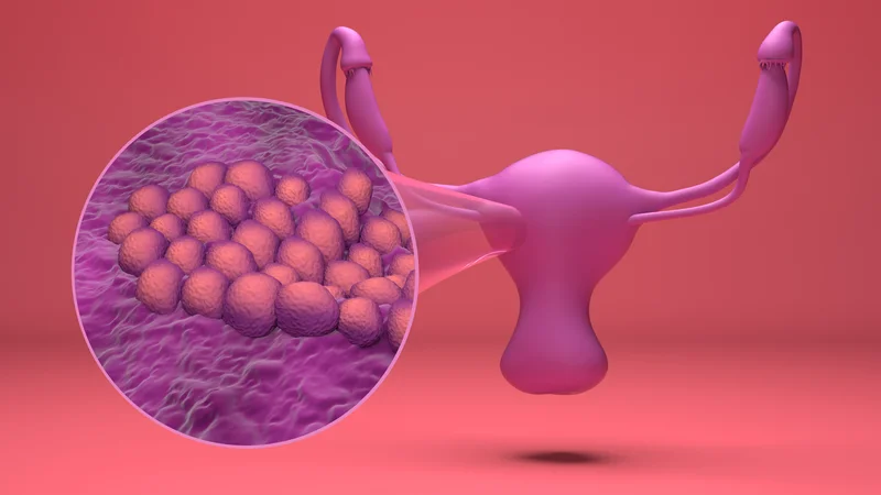 Çfarë është trashja e endometrit dhe si trajtohet?